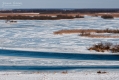 026_Biebrza - marzec 2013